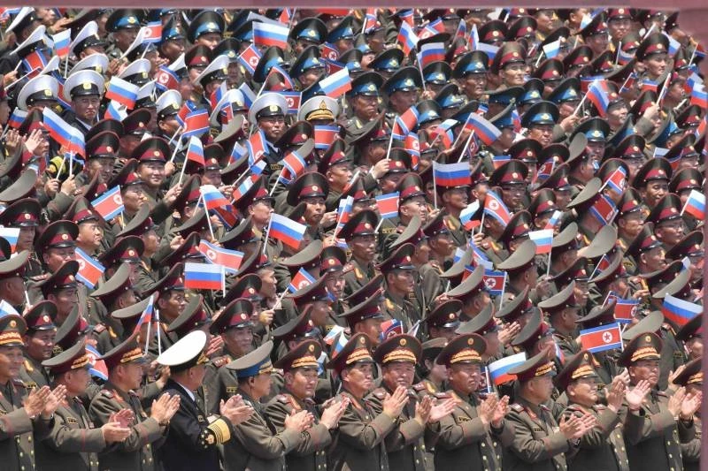 Северокорейцы на Курщине: Переплетение судеб и историческая справедливость